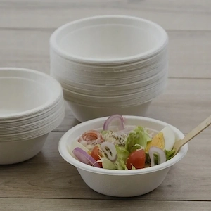 Artikel: Disposable bowl ECO made of sugar cane 350ml x 100 pieces restaurant snack food truck bistr Bild 4