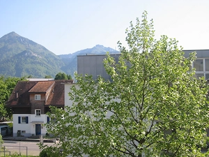 Dornbirn: 2-Zi-Wohnung ab sofort von Privat zu vermieten Bild 3