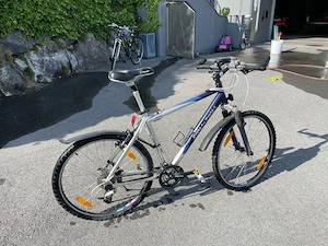 Herren Mountainbike