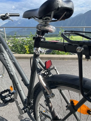 Damenfahrrad Bild 3