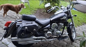 Motorrad daelim Bild 4