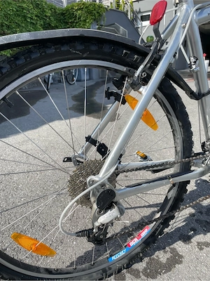 Herren Mountainbike Bild 4