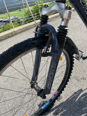Herren Mountainbike Bild 5