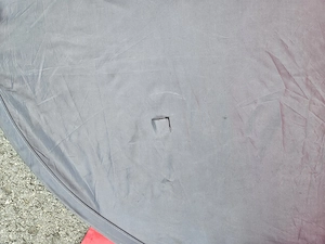 Strandmuschel rot zu verschenken Bild 4