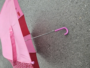 Regenschirm für Kinder zu verschenken Bild 2