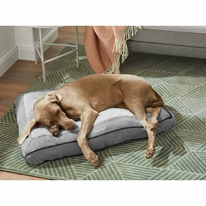 ZOOFARI  Hundebett, w rmend und k hlend, mit zwei Klimazonen Bild 3