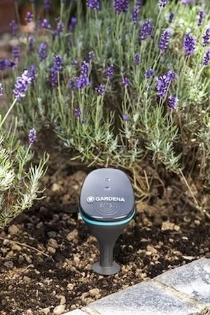 Gardena smart Sensor misst Bodenfeuchte Lichtstaerke Aussentemperatur per smart App fuer iOS und And Bild 3