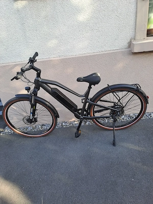 E-bike, Prophete Stack Sport SUV 29