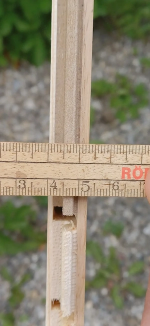 Parkett Eiche 2,20x18 cm Bild 2