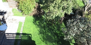 Wohnung 3 Zimmer möbliert Bäumlegasse Dornbirn mit Garten für ein paar Wochen   Monate Bild 8