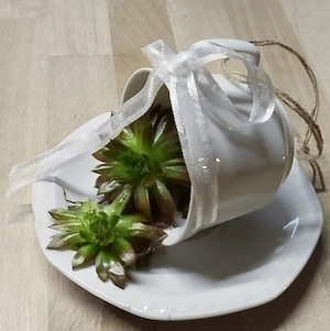 Deko bepflanzte Tasse neu Bild 2