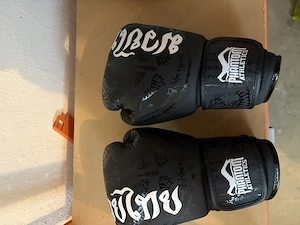 Kinder Kimono + Boxer Handschuhe  Bild 5
