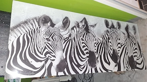 Glasbild Panorama Zebra