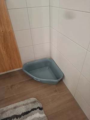 Neue Katzentoilette Bild 2