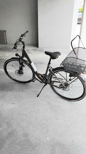 Damen Fahrrad Bild 2