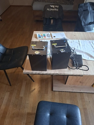 Elektroroller E.F.O. EB250P mit zwei Batterien Bild 3
