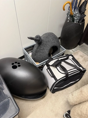 Katzenzubehör zu verschenken Bild 3