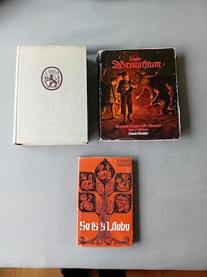 Lustenauer Bücher