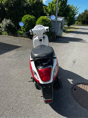 Sym Fiddle 50 Bild 3