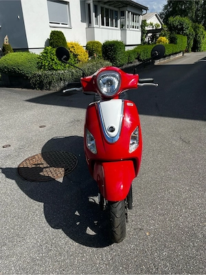 Sym Fiddle 50 Bild 2