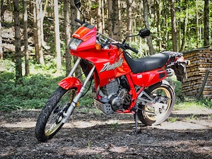 Honda Dominator NX500 | Perfektes A2-Bike & Kult-Klassiker