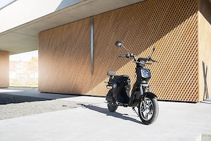 Elektro Mofa EB250P zu verkaufen