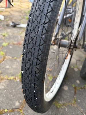 Beach Cruiser Bild 2