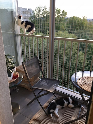 Installationsset f r Balkon-Katzennetz 6x3 ohne Bohren ? Wirksamer Schutz des Balkons vor dem Heraus Bild 3
