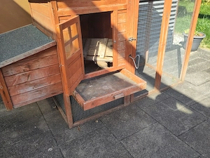 Geflügelstall Bild 5