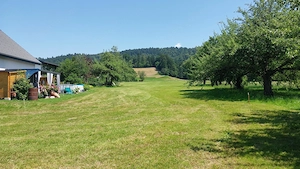 Grundstück Hohenweiler Ruhe + Sonne, keine Maklerkosten Bild 6