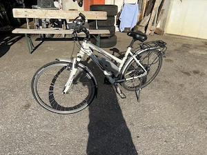 Bulls Green Mover EBike Pedelec Bild 4