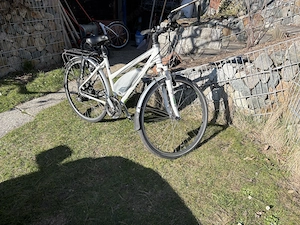 Bulls Green Mover EBike Pedelec Bild 3