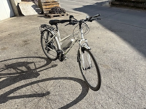 Bulls Green Mover EBike Pedelec Bild 2