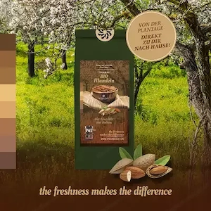 Blender - Hochleistungsmixer, Trinkkakao, Mandelmilch, Haselnussmilch selber machen Bild 3