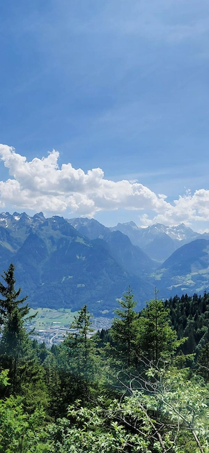 Suchen Haus, 2 gute Vollzeit Jobs mit 4 Töchter und 1 Sohn  alle über 11 und gut erzogen