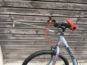 Dogscooter mit Bike Antenne Bild 3
