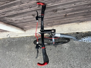 Dogscooter mit Bike Antenne Bild 4