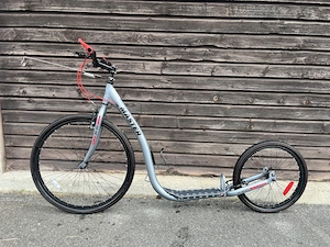 Dogscooter mit Bike Antenne