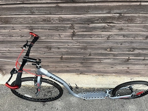 Dogscooter mit Bike Antenne Bild 2