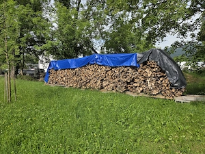 Trockenes Hartholz Brennholz