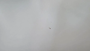 Tischplatte weiß Bild 5