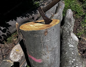 Hackstock Hartholz Buche