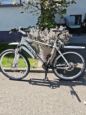Haibike Crossbike   Trekkingrad   Sehr gepflegt   RockShox   Scheibenbremsen Bild 2
