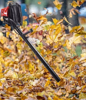 Artikel: GARDEN Leaf Blower STRONG BACKPACK BLOWER Set Hochwertiger Artikel aus unserem Online-Shop Bild 5