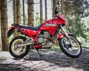 Honda Dominator NX500 | Perfektes A2-Bike  Kult-Klassiker Bild 3
