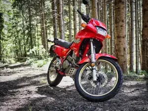 Honda Dominator NX500 | Perfektes A2-Bike  Kult-Klassiker Bild 2