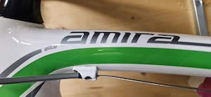 Rennrad Specialized Amira Elite, Damenfahrrad, Carbon, Weiß Grün, ultra-leicht