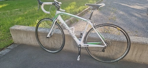 Rennrad Specialized Amira Elite, Damenfahrrad, Carbon, Weiß Grün, ultra-leicht Bild 2