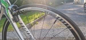 Rennrad Specialized Amira Elite, Damenfahrrad, Carbon, Weiß Grün, ultra-leicht Bild 9