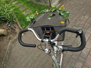 Damenfahrrad Simplon Bild 2